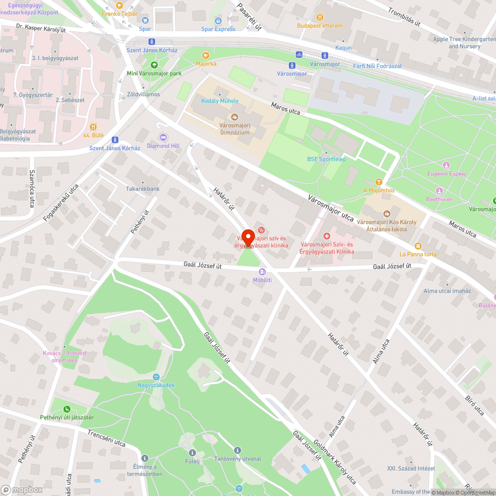 Kiszáradt fa a játszótéren bejelentés helye