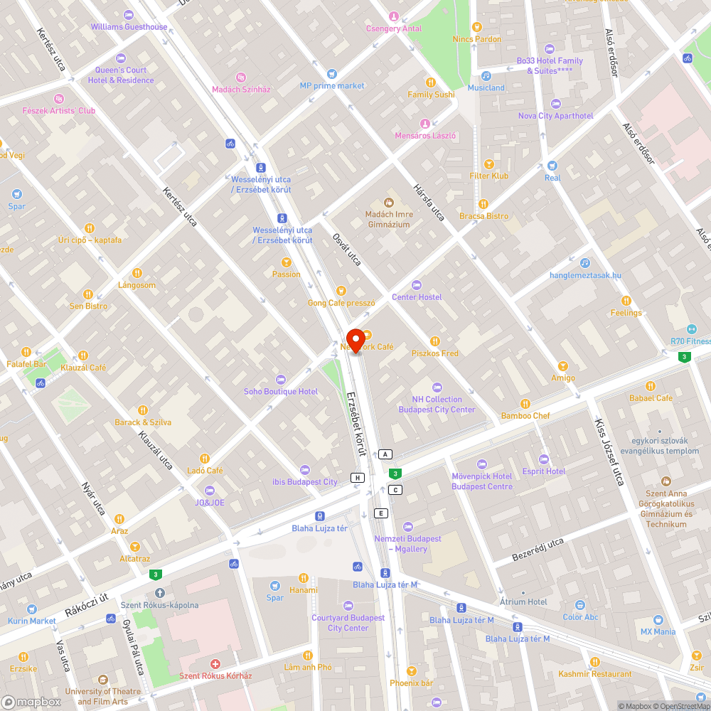 Víznyelő bejelentés helye