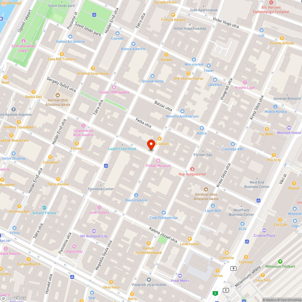 Osszefestett térkő bejelentés helye