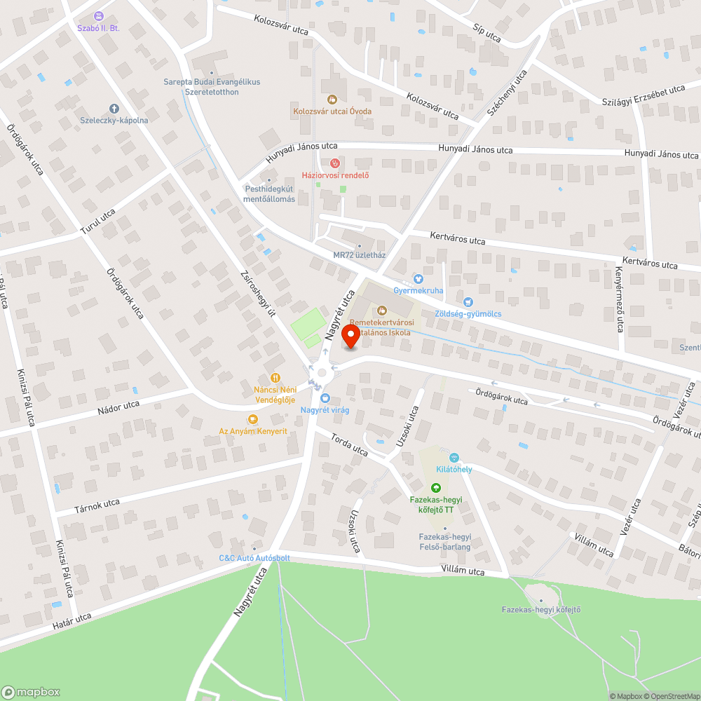 Elhanyagolt növényzet teszi életveszélyessé a kereszteződést bejelentés helye