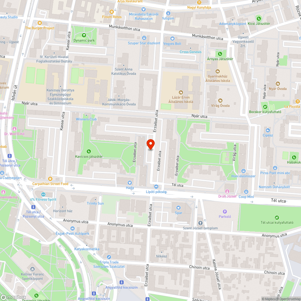 Parkoló autók közé lógó faág bejelentés helye