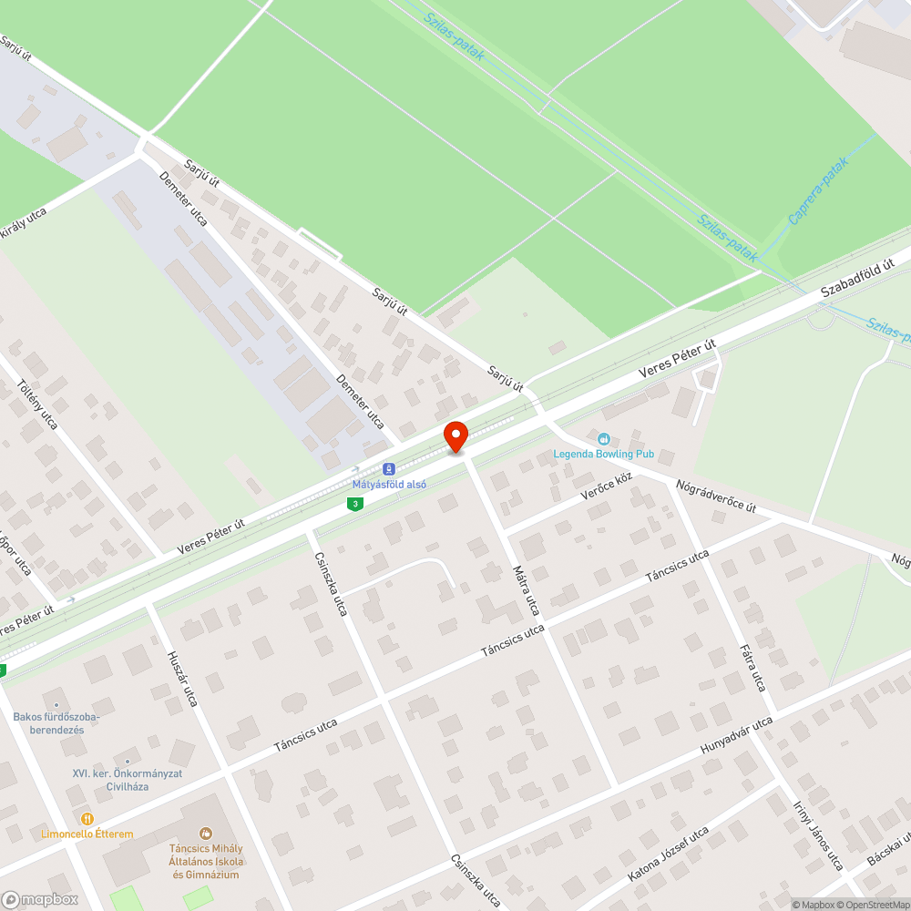 Kerékpárútra fejmagasságban lógó faág bejelentés helye