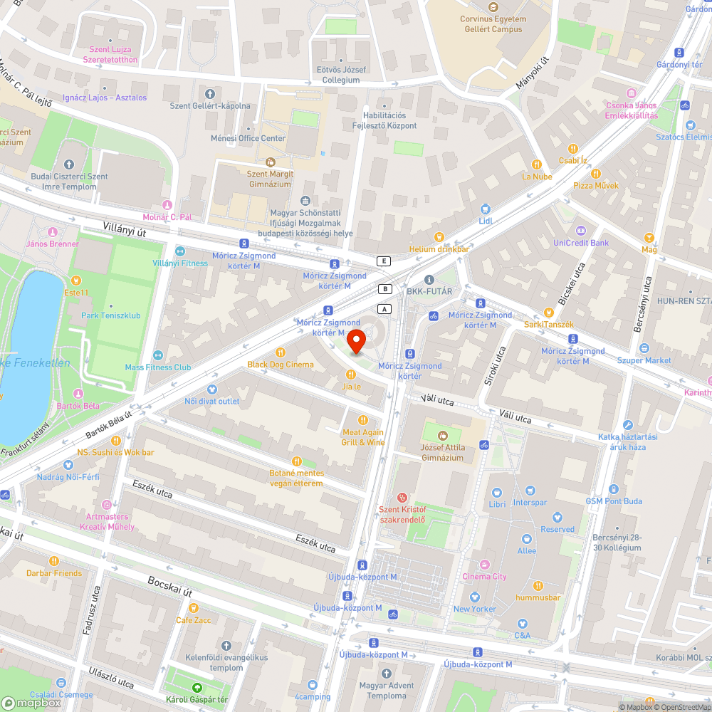 Minősíthetetlen állapotú macskakő bejelentés helye