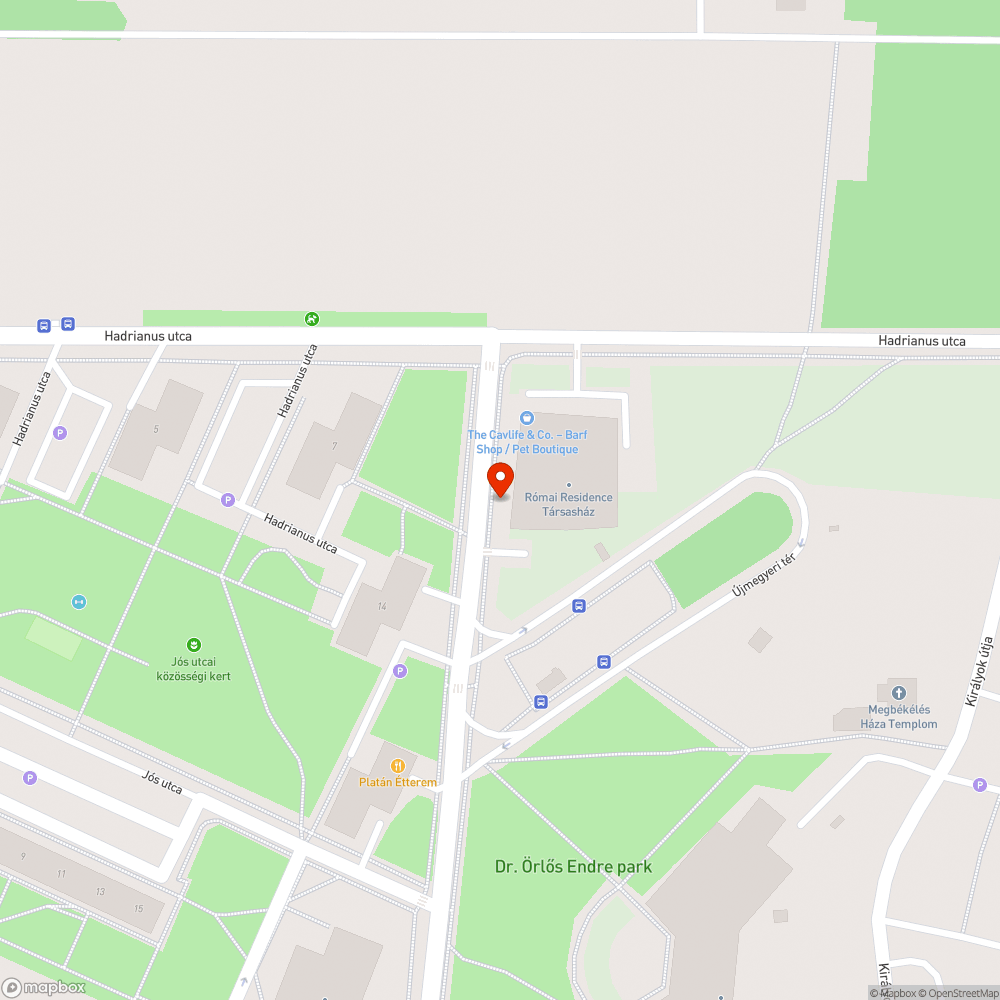 Szemétkupac bejelentés helye