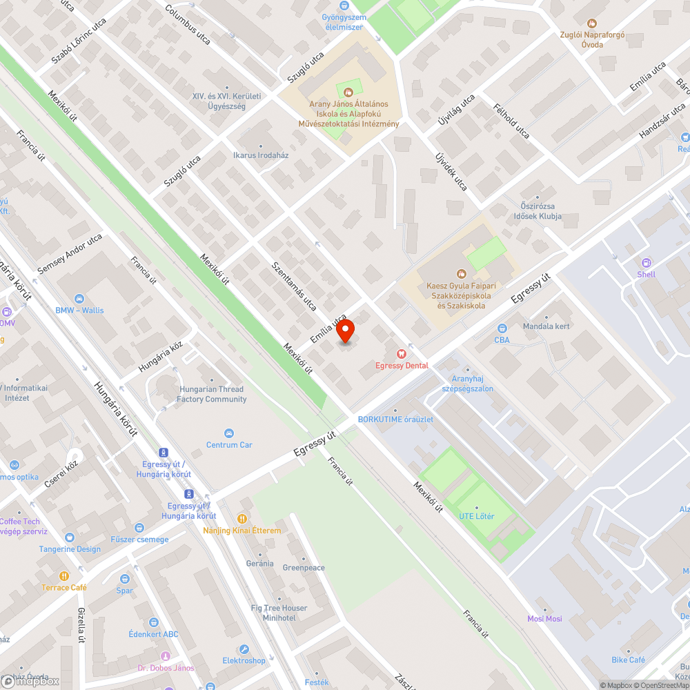 Kivágott fa közterületen hagyva bejelentés helye