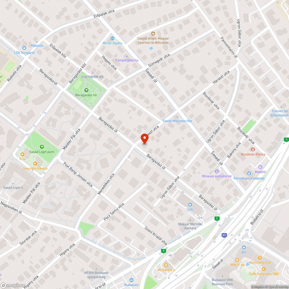 Beregszász út diófa a járda fölött bejelentés helye