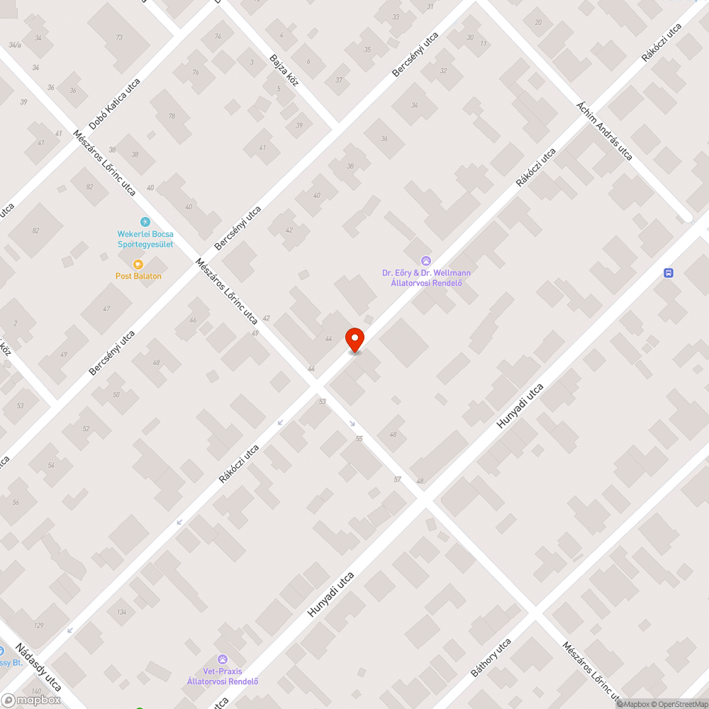 Veszélyes kiszáradt vastag faág bejelentés helye