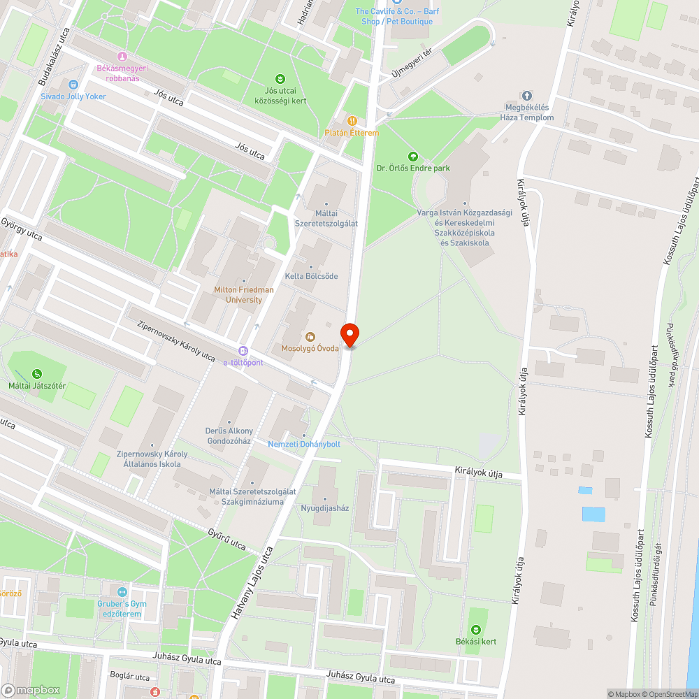 Eldugult víznyelő bejelentés helye