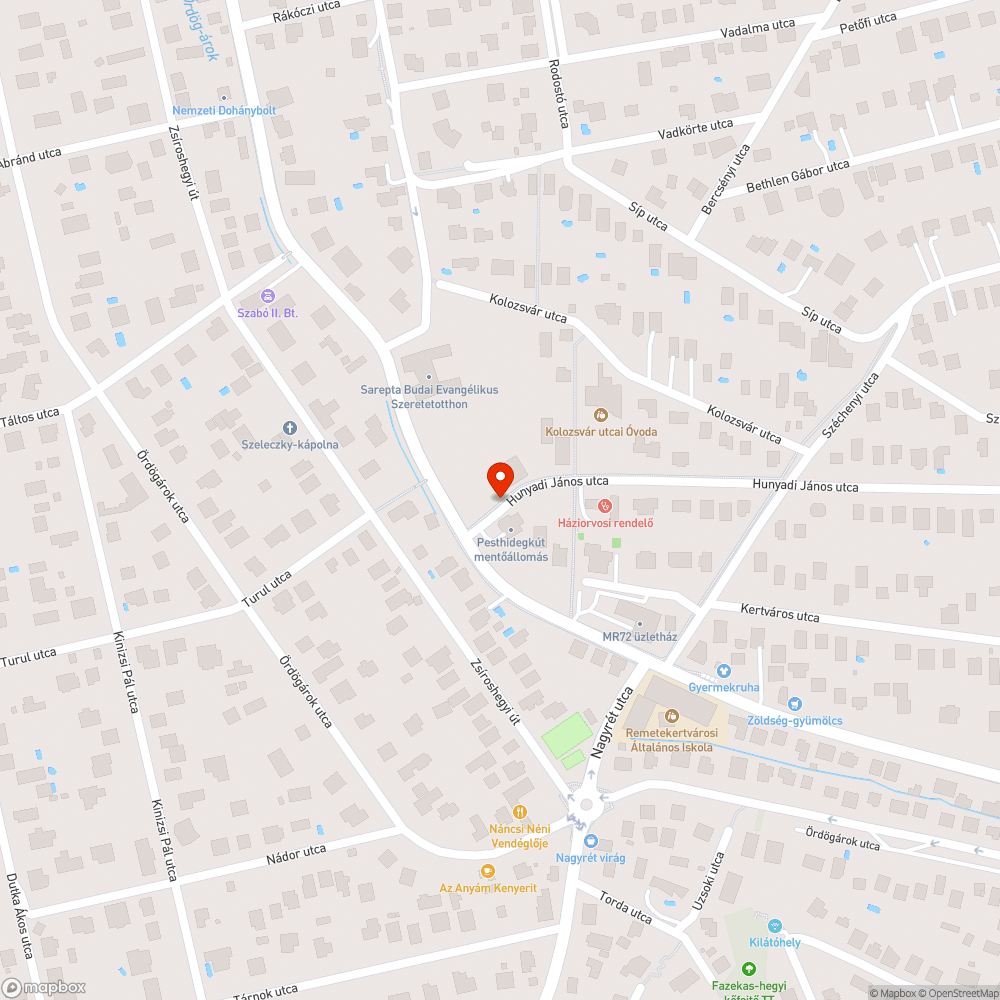 Közterületi járdát elborító növényzet bejelentés helye