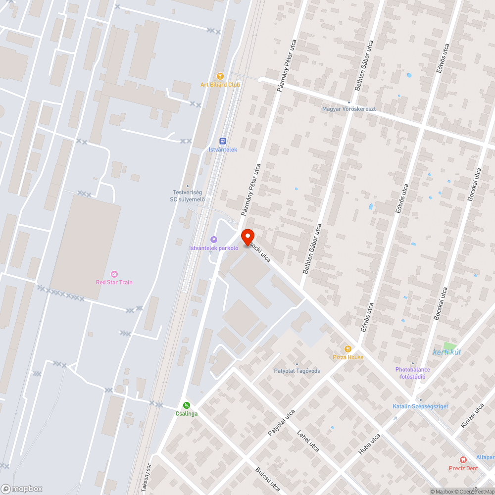 Halott sikló vagy kígyó az úton bejelentés helye