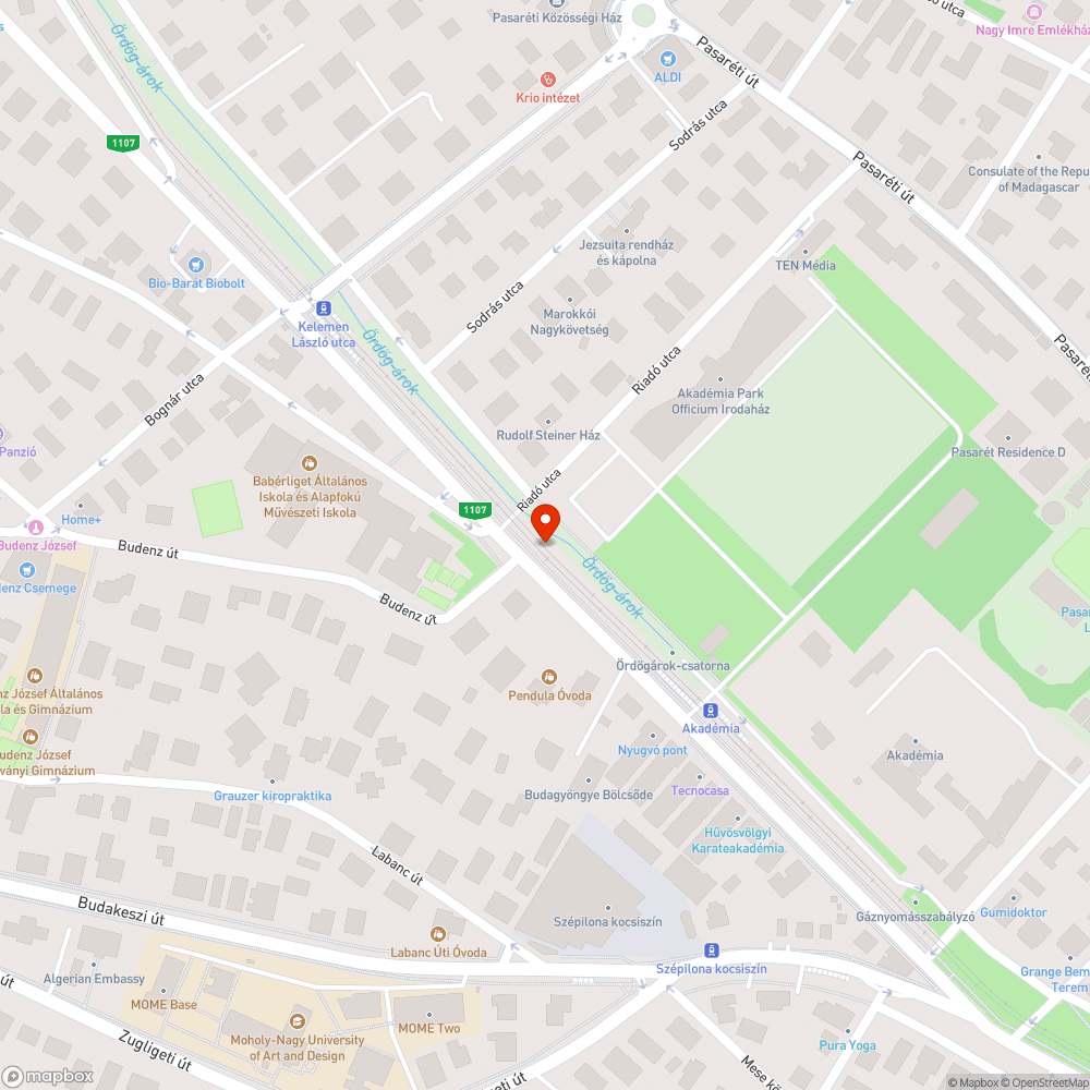 Levágott gallyak bejelentés helye