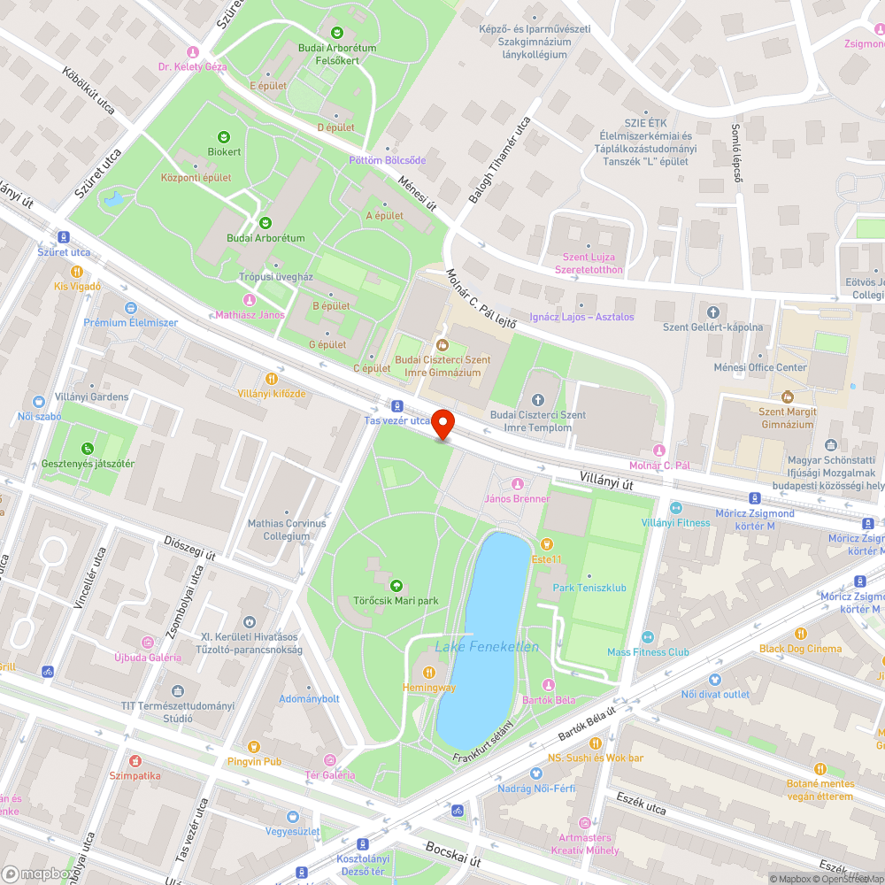 Kiszáradt fa bejelentés helye