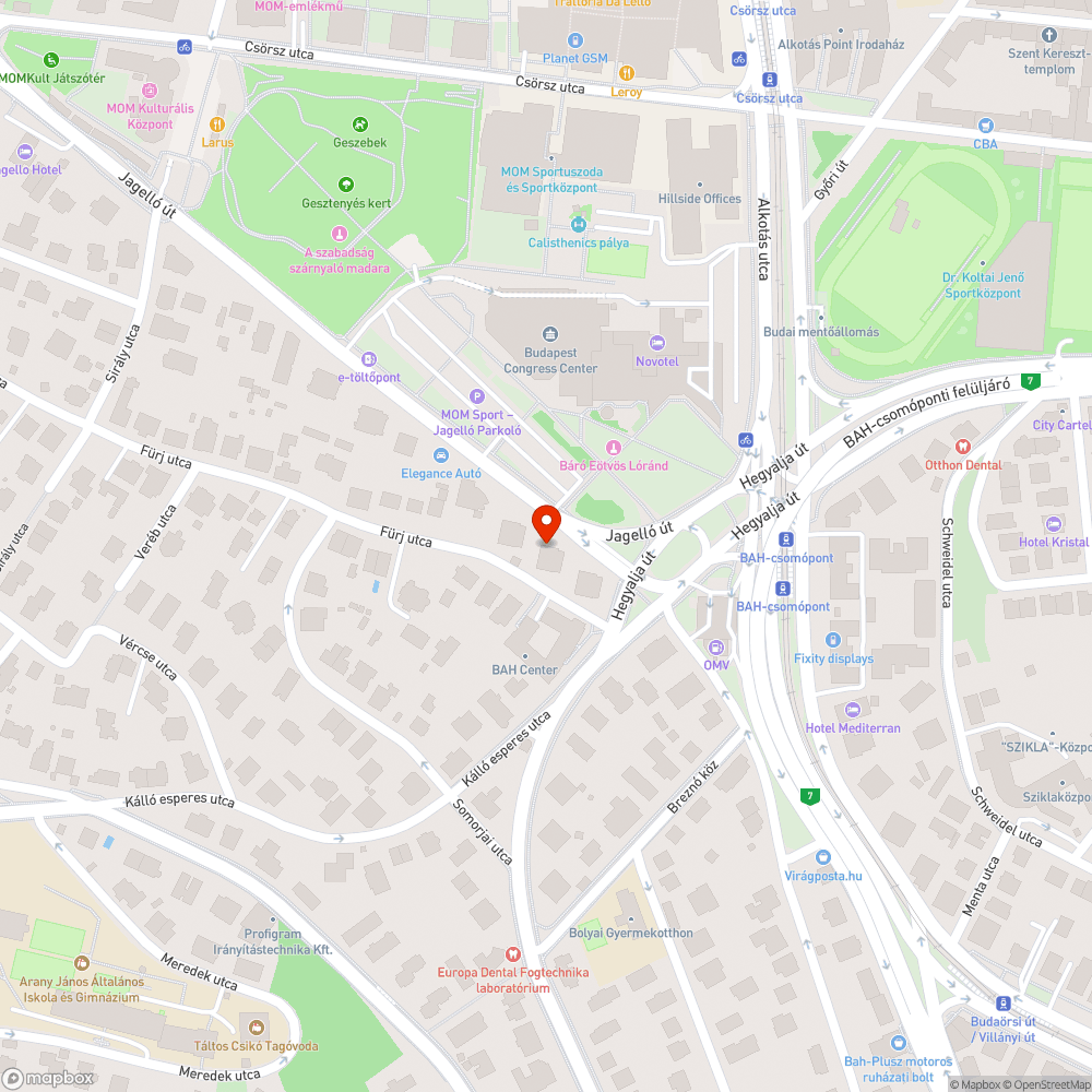 Félig kidőlt fa (pár éve ültettet) bejelentés helye