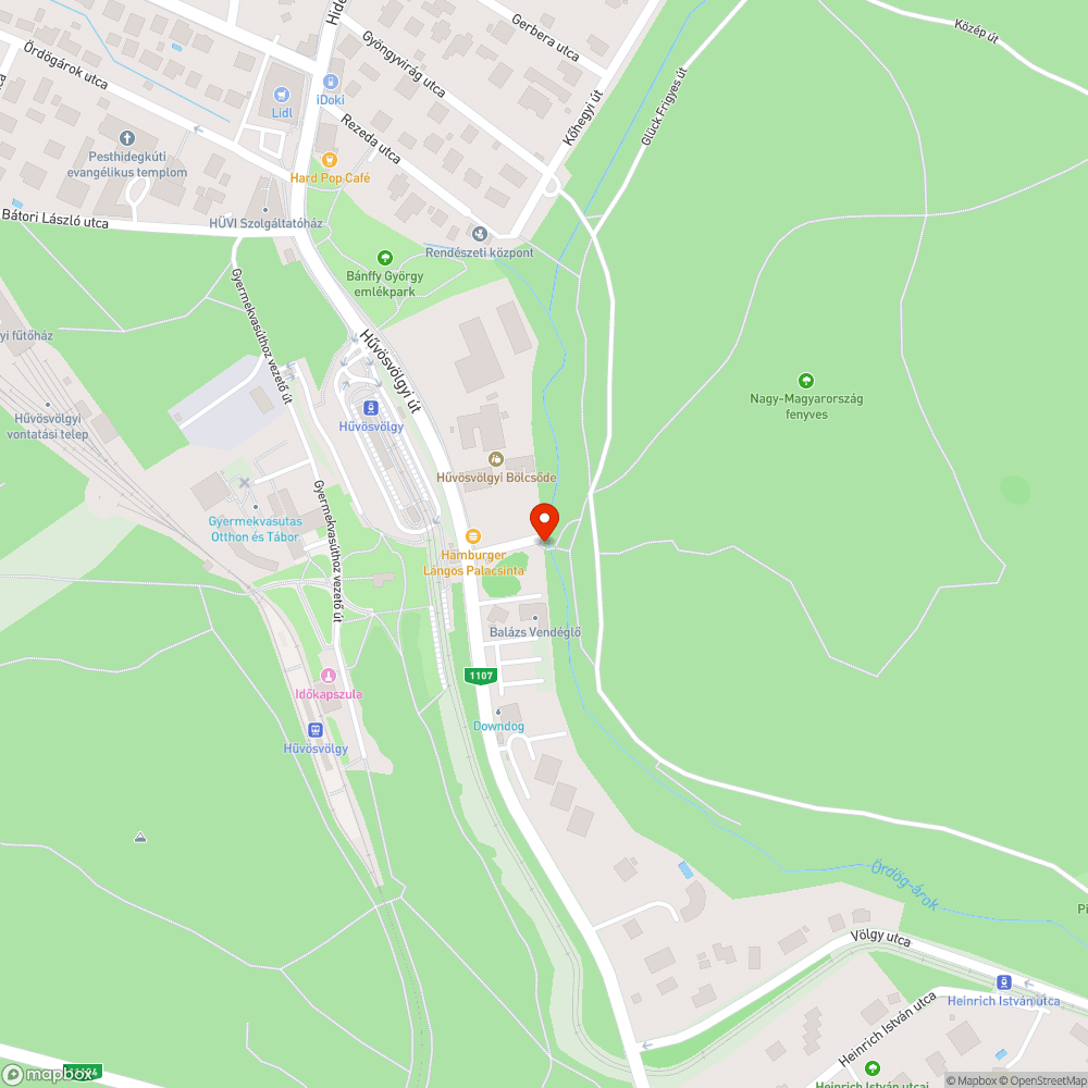 Kiöntött Szemét bejelentés helye