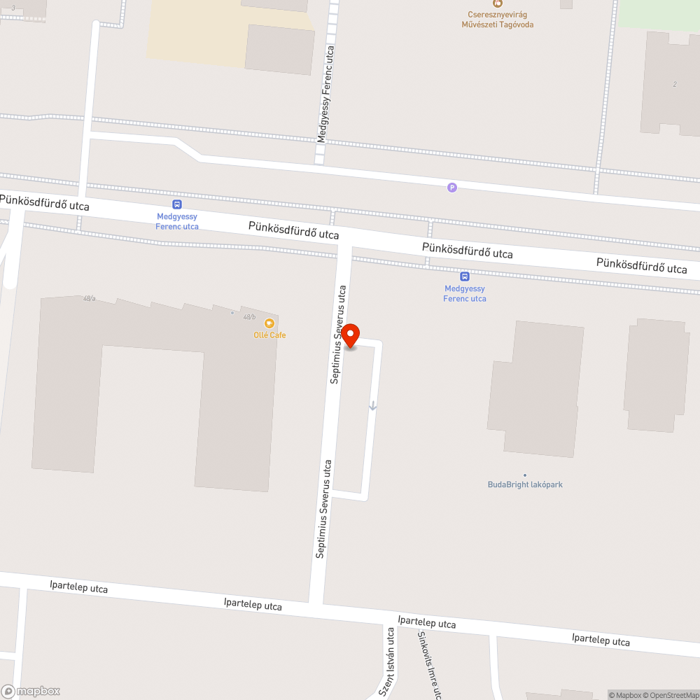 Halott fa bejelentés helye