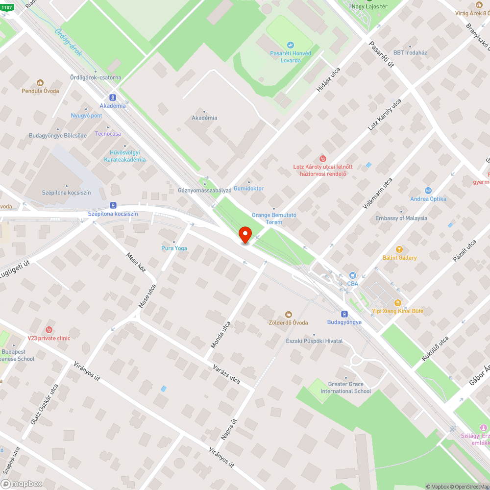 Kiszáradt parlagfű a Szilágyi Erzsébet fasoron bejelentés helye