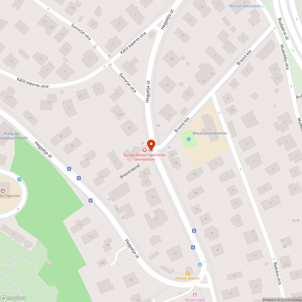 Lombbal eltakart domború tükör bejelentés helye