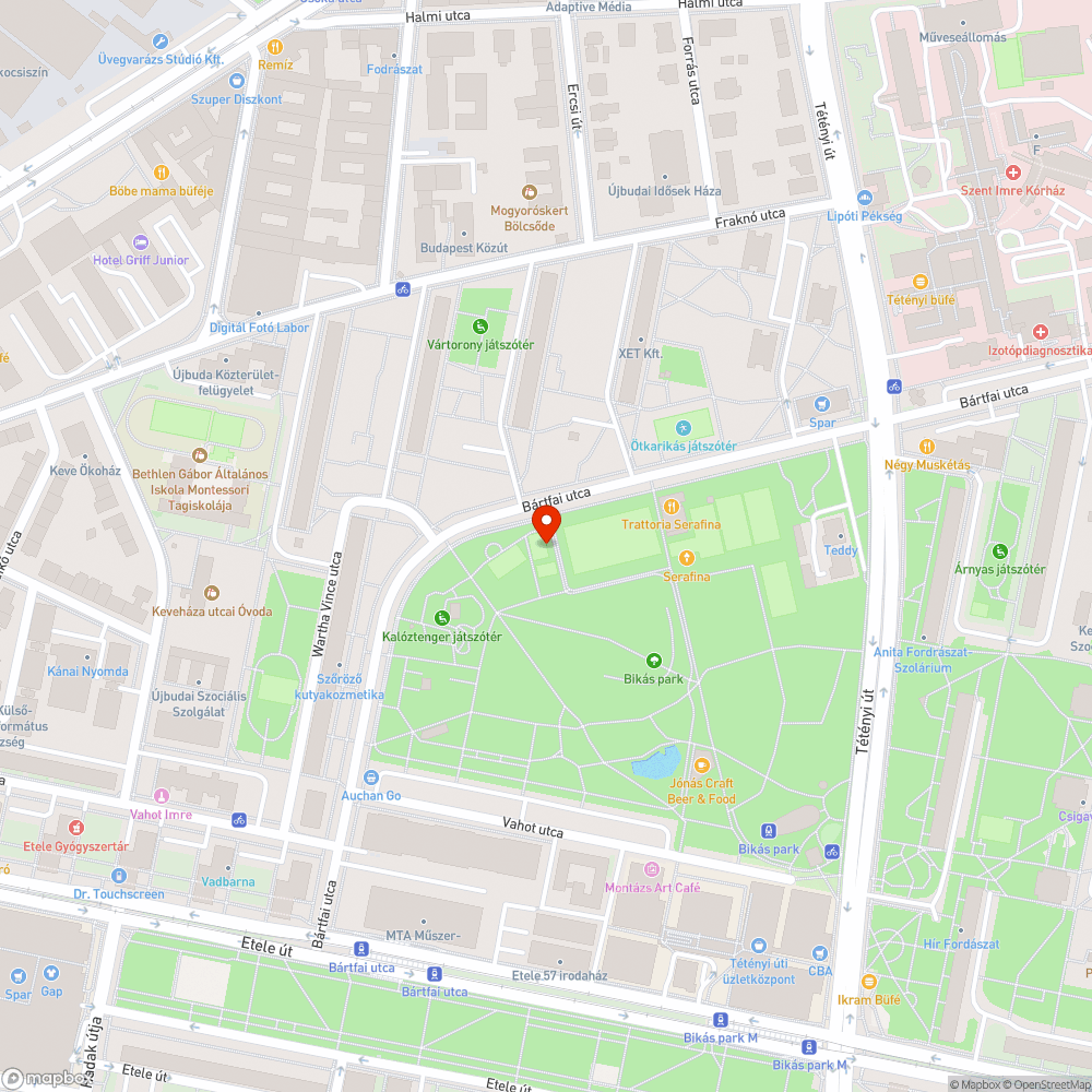 Hiányzó kosárpalánk bejelentés helye