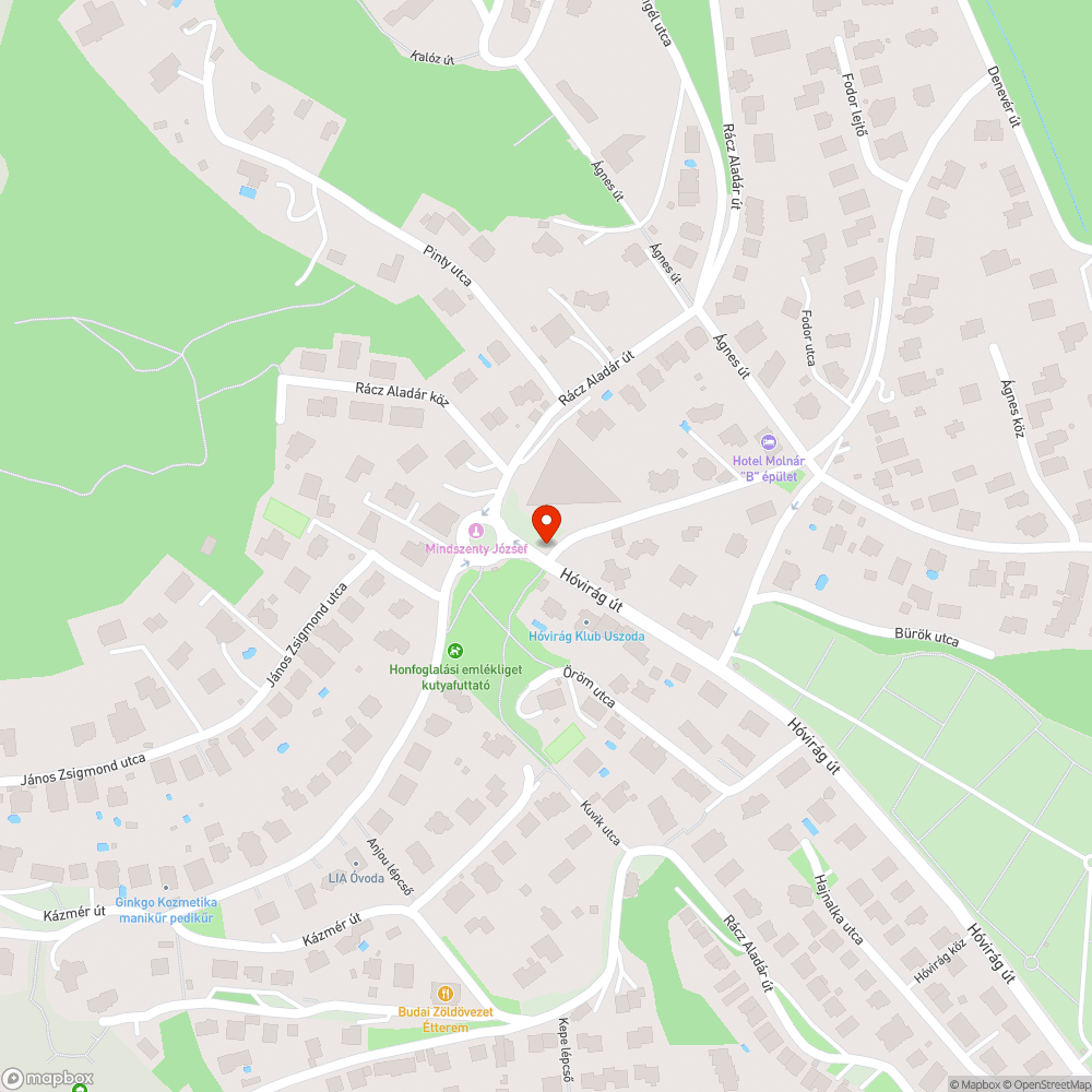 Szivárgó tűzivízcsap bejelentés helye