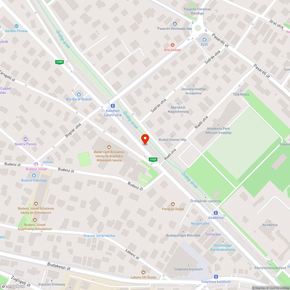 Járdára belógó ágak bejelentés helye