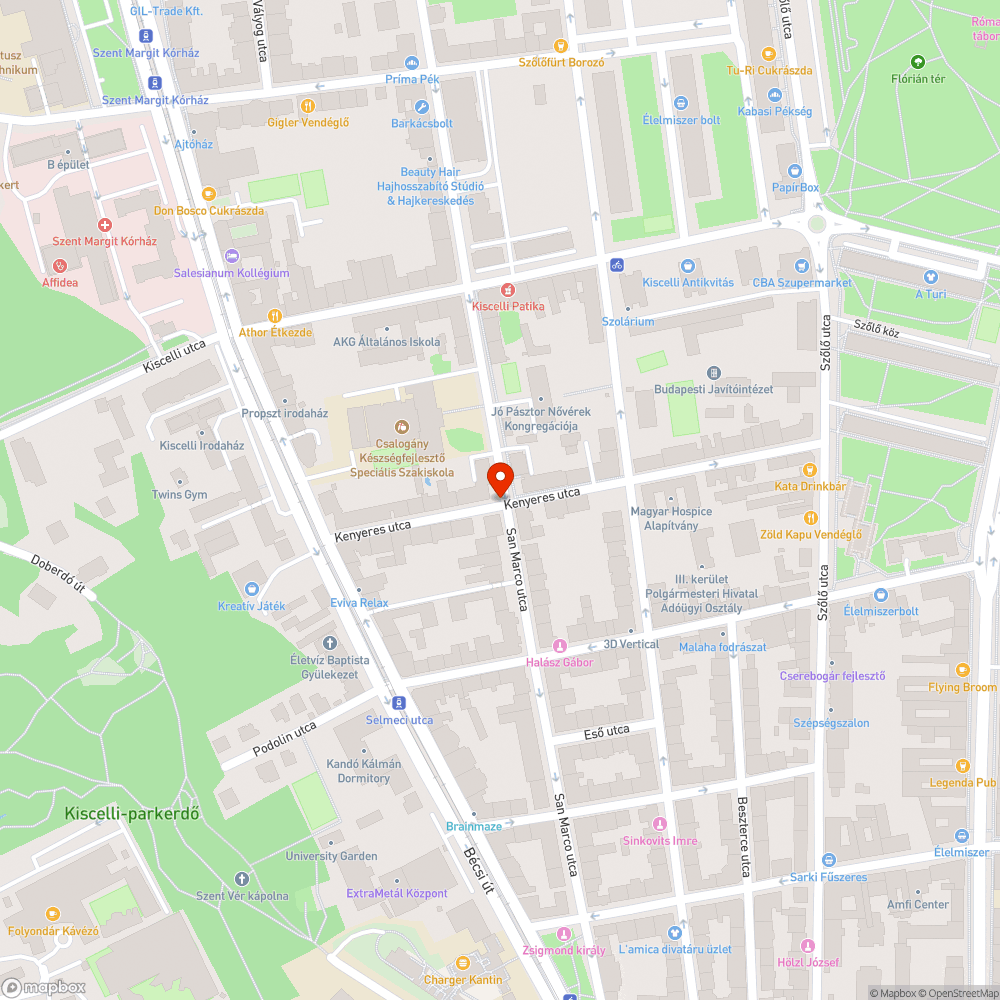 Szétesett utcai szemetes bejelentés helye