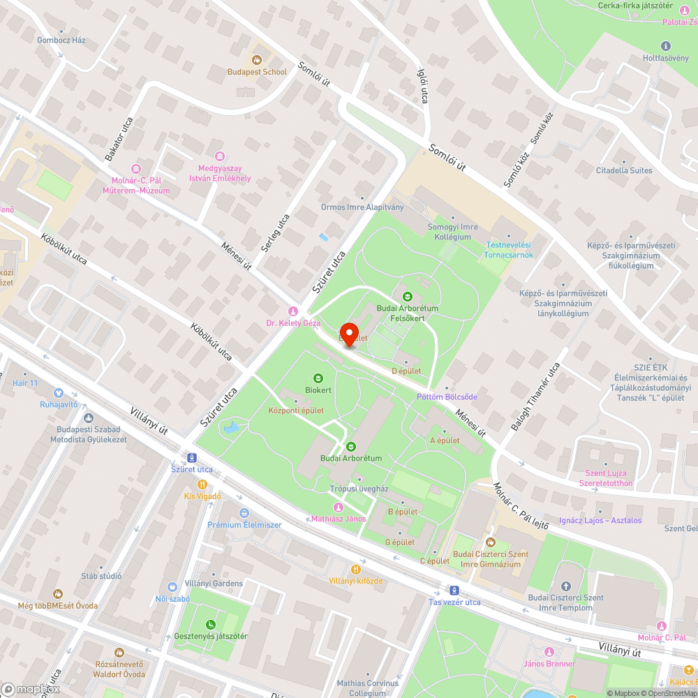 Elhanyagolt fák bejelentés helye