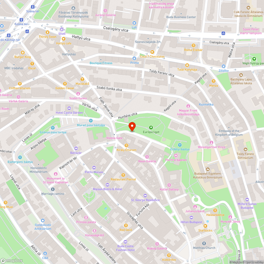 Kátyúk és gödrök a Babits Mihály sétányon bejelentés helye