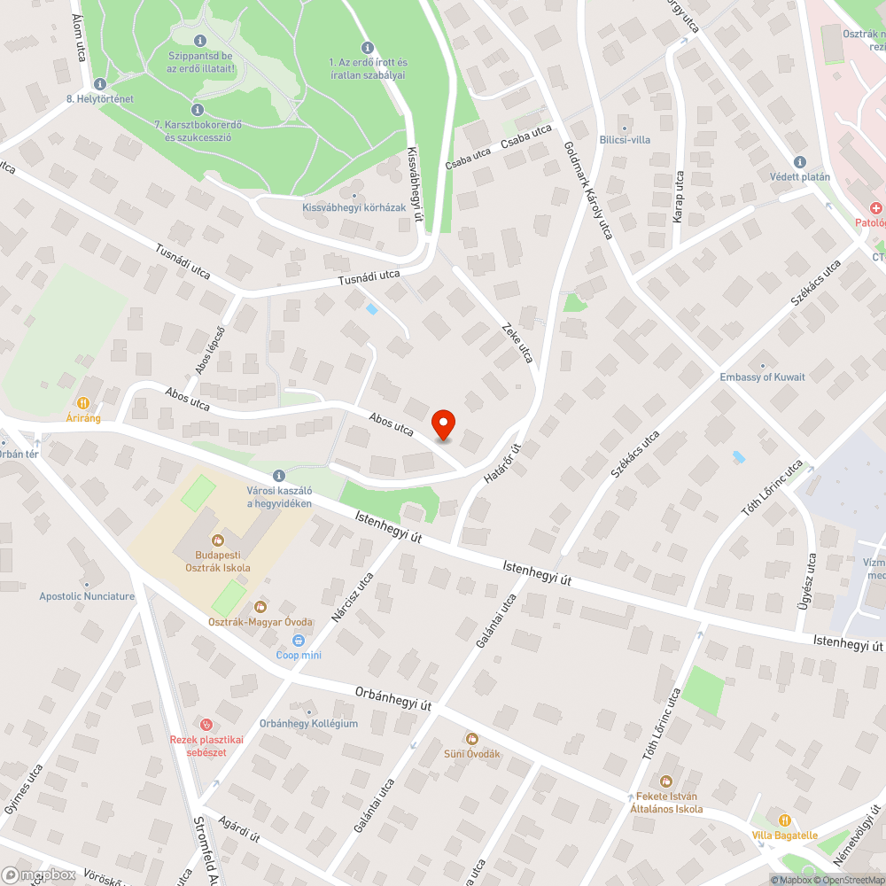 Viharban leszakadt ágak bejelentés helye