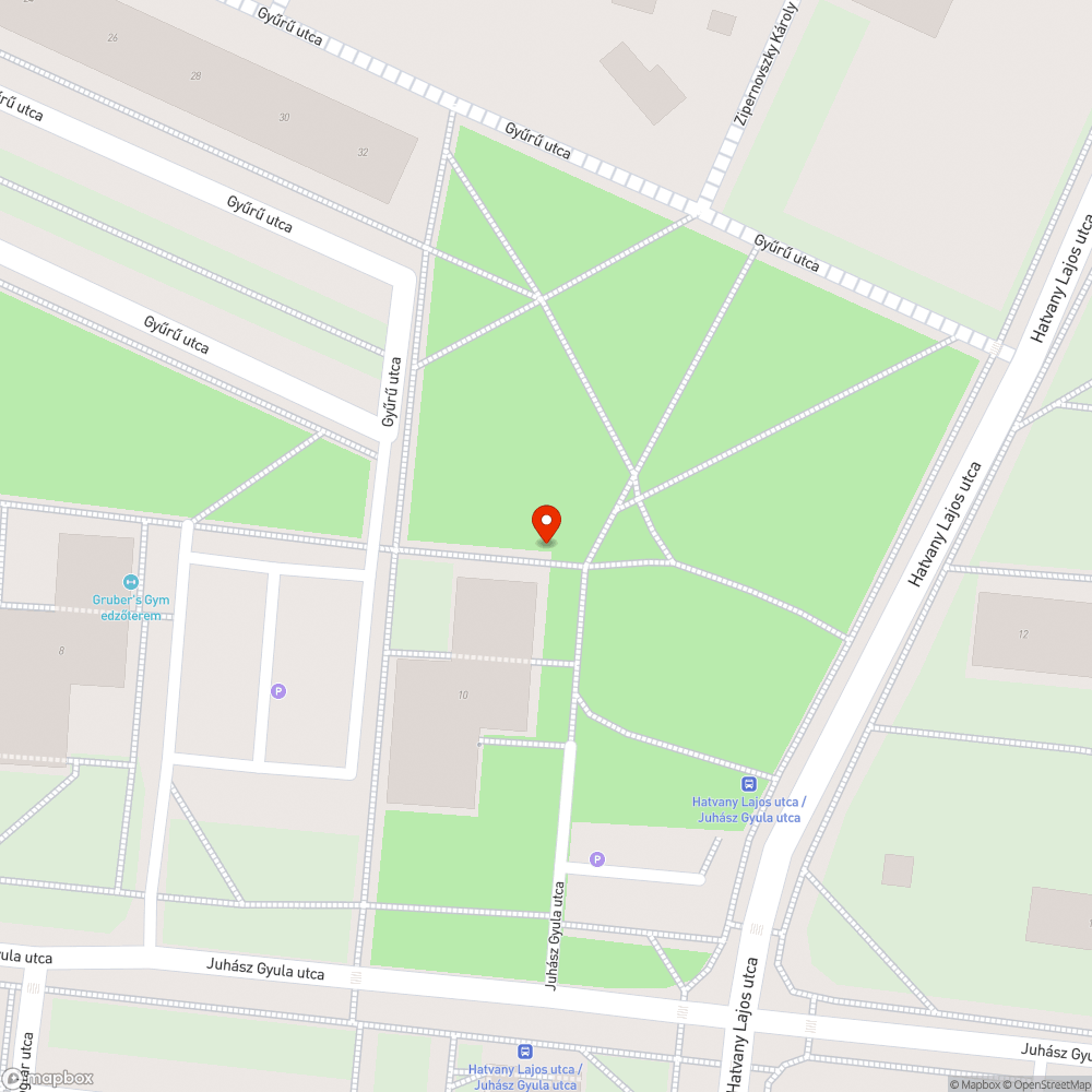 Leszakadt faág bejelentés helye