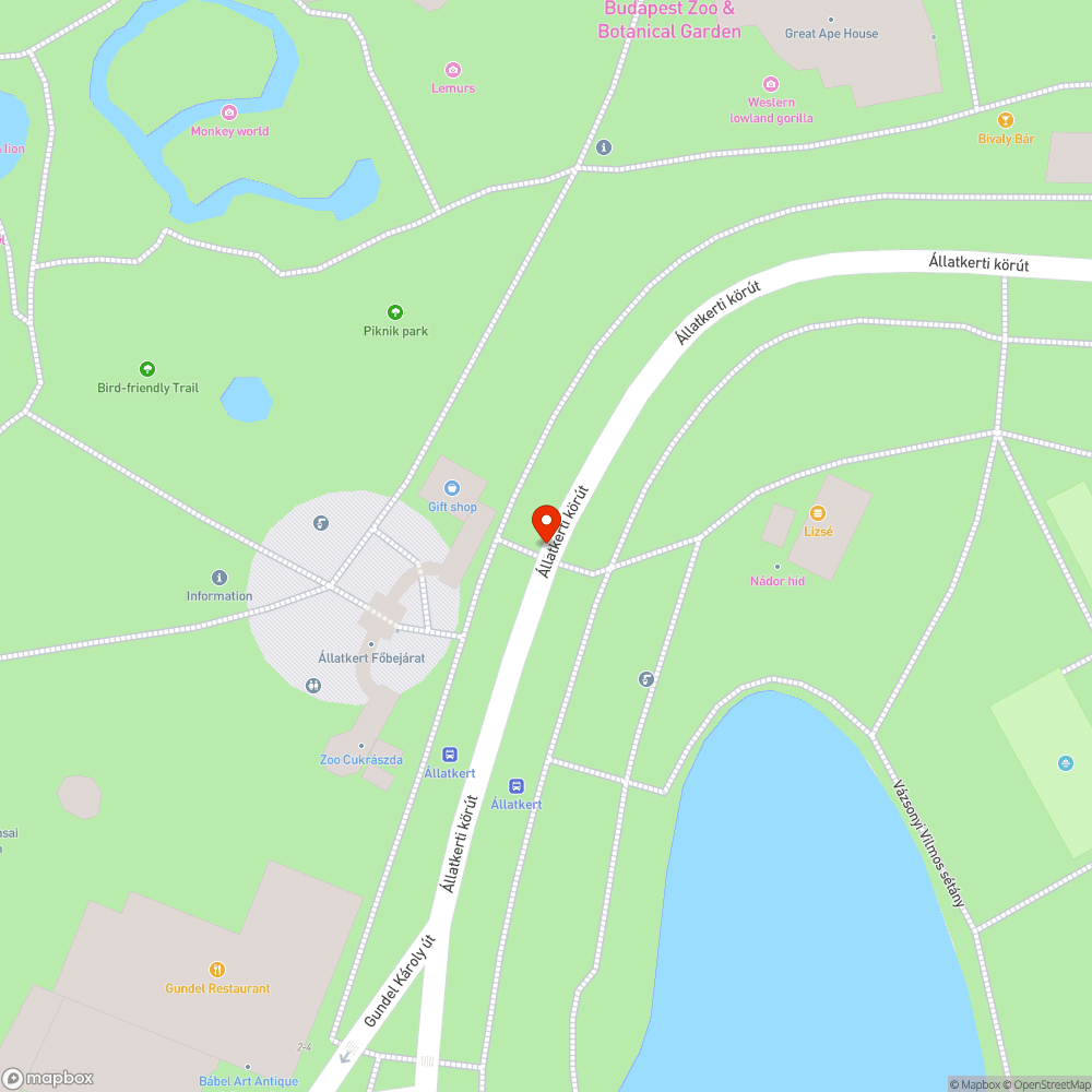 Lekopott zebra bejelentés helye