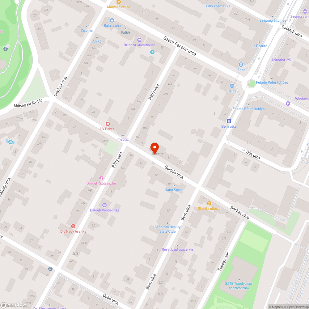 Kiszáradó félben lévő tuja bejelentés helye