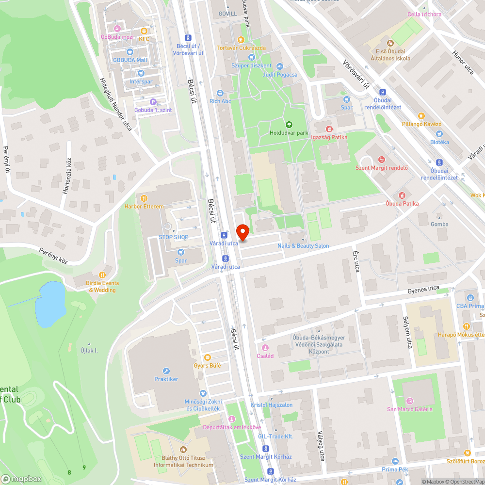 Kiszáradt fa és benőtt ágak bejelentés helye