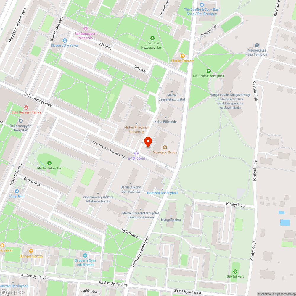 Otthagyott faágak zöldhulladék bejelentés helye