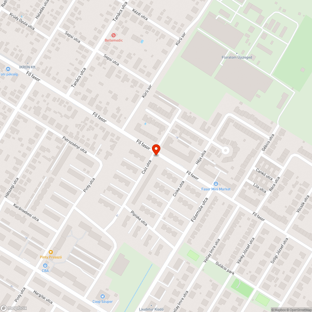 Elhanyagolt közterület lakóház előtt bejelentés helye