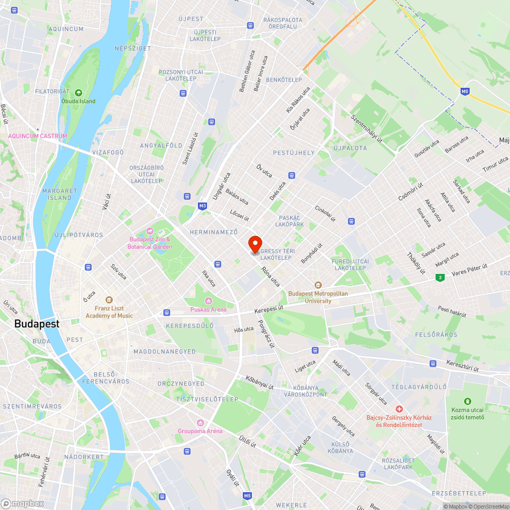 Lomtalanítás után széthagyott szemét a közterületen bejelentés helye