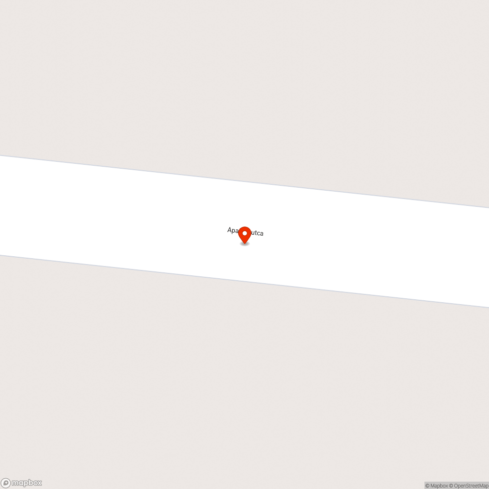 Fával benőtt lámpaoszlop bejelentés helye