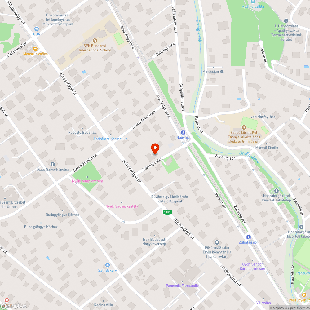 Nagy faágak az úton bejelentés helye