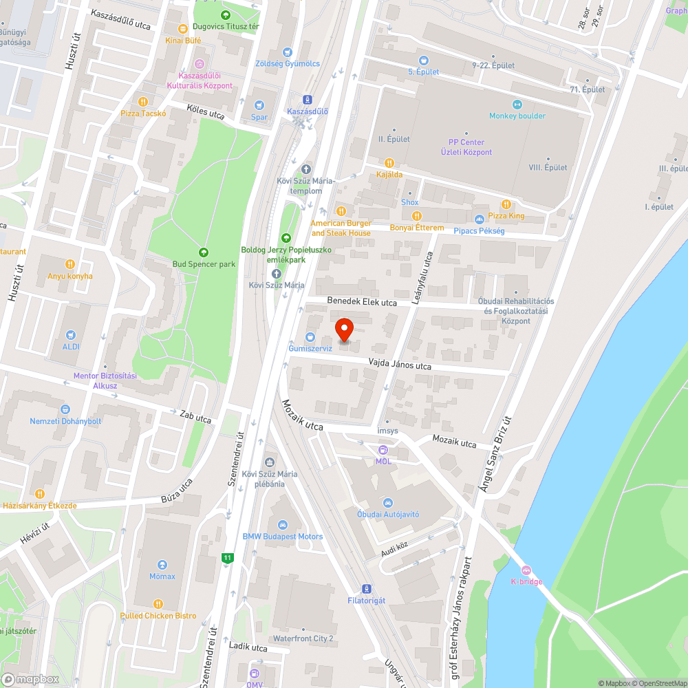 Elhanyagolt zöldfelületek és patkányészlelés bejelentés helye