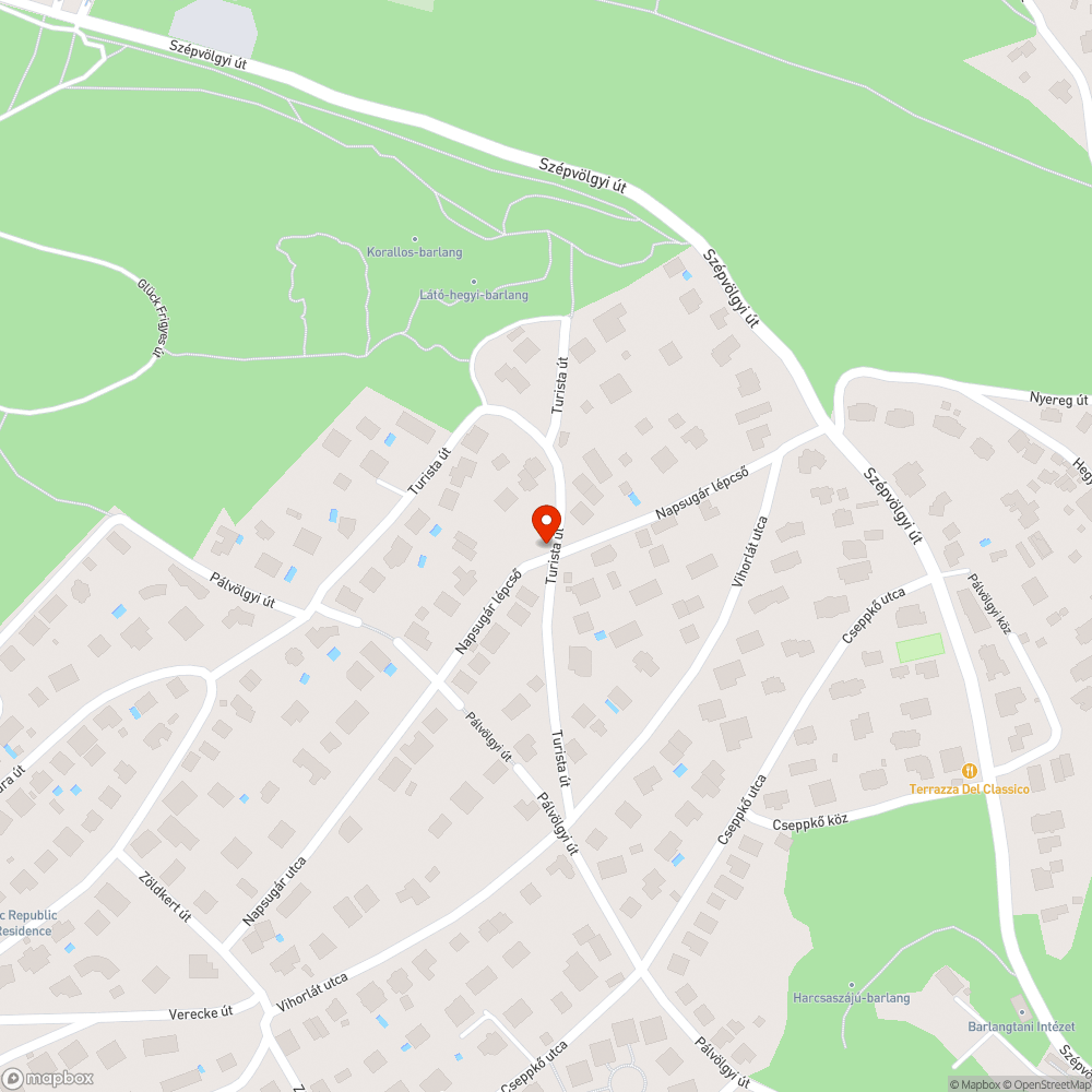 Balesetveszélyes elburjánzott növényzet bejelentés helye