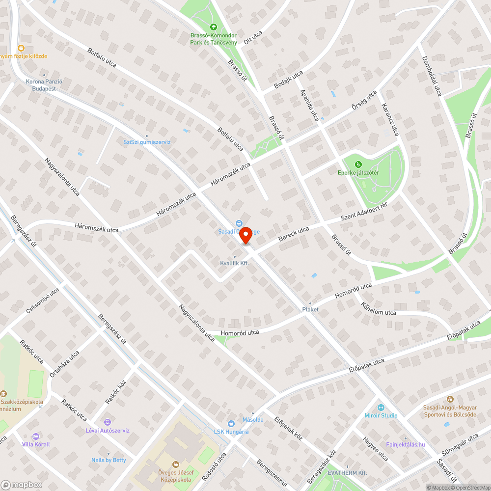 Leszakadt faág, szinte eltorlaszolja a járdát bejelentés helye