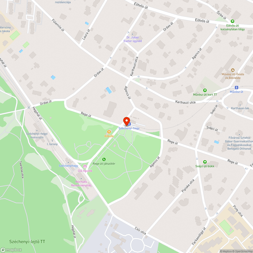 Járdára nőtt, borult növényzet bejelentés helye