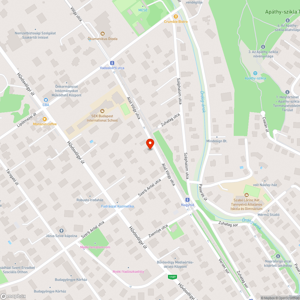 Több hónapja lapos autógumival mozdulatlanul álló autó bejelentés helye