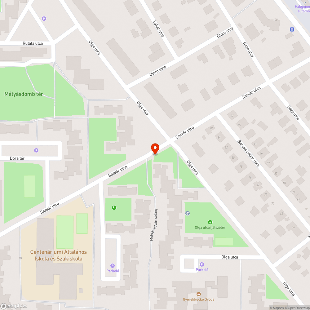 Járdára és az úttestre dőlt egy letörött faág bejelentés helye