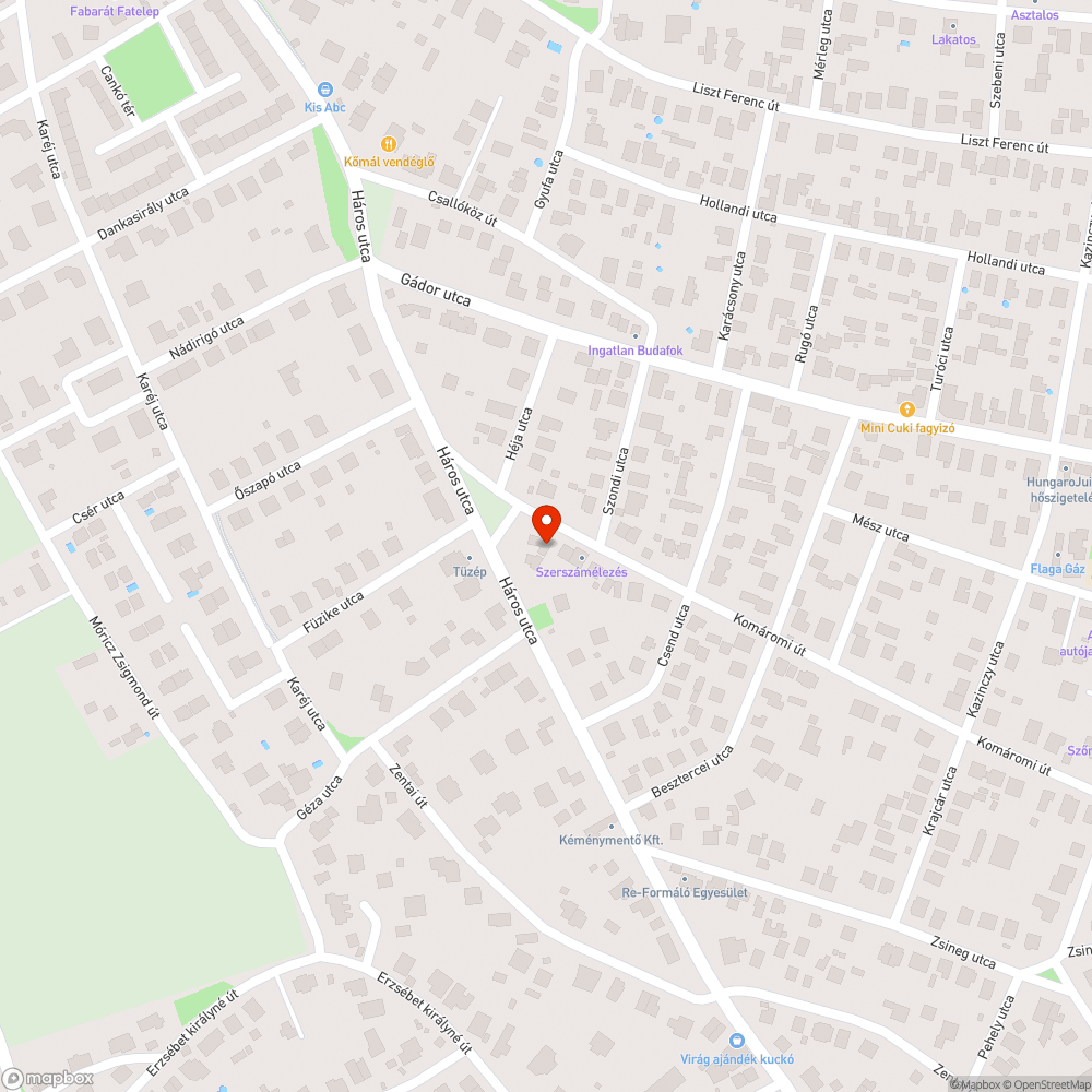 Ránőtt a lomb a lámpára bejelentés helye