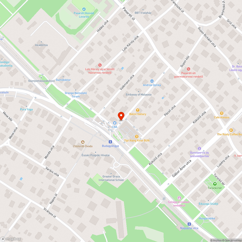 Tüskés bozót csökkenti a parkolóhely méretét bejelentés helye