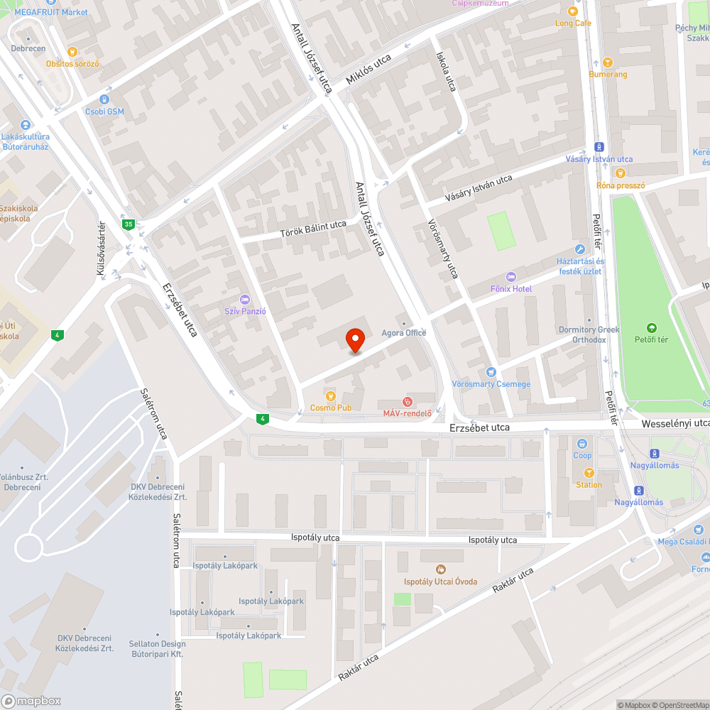 Méteres parlagfű Debrecen központjában bejelentés helye