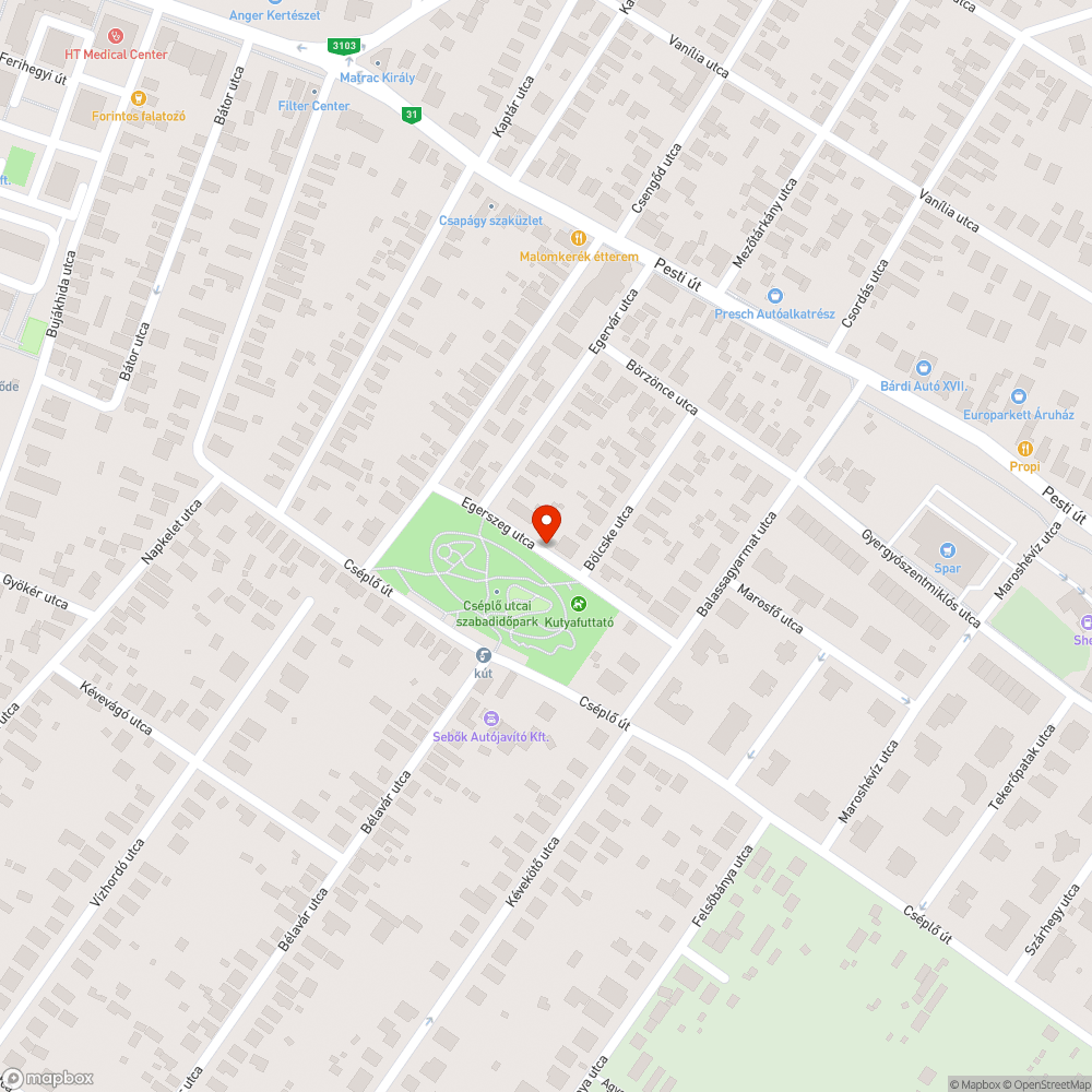 Parlagfű szegély az út mentén bejelentés helye