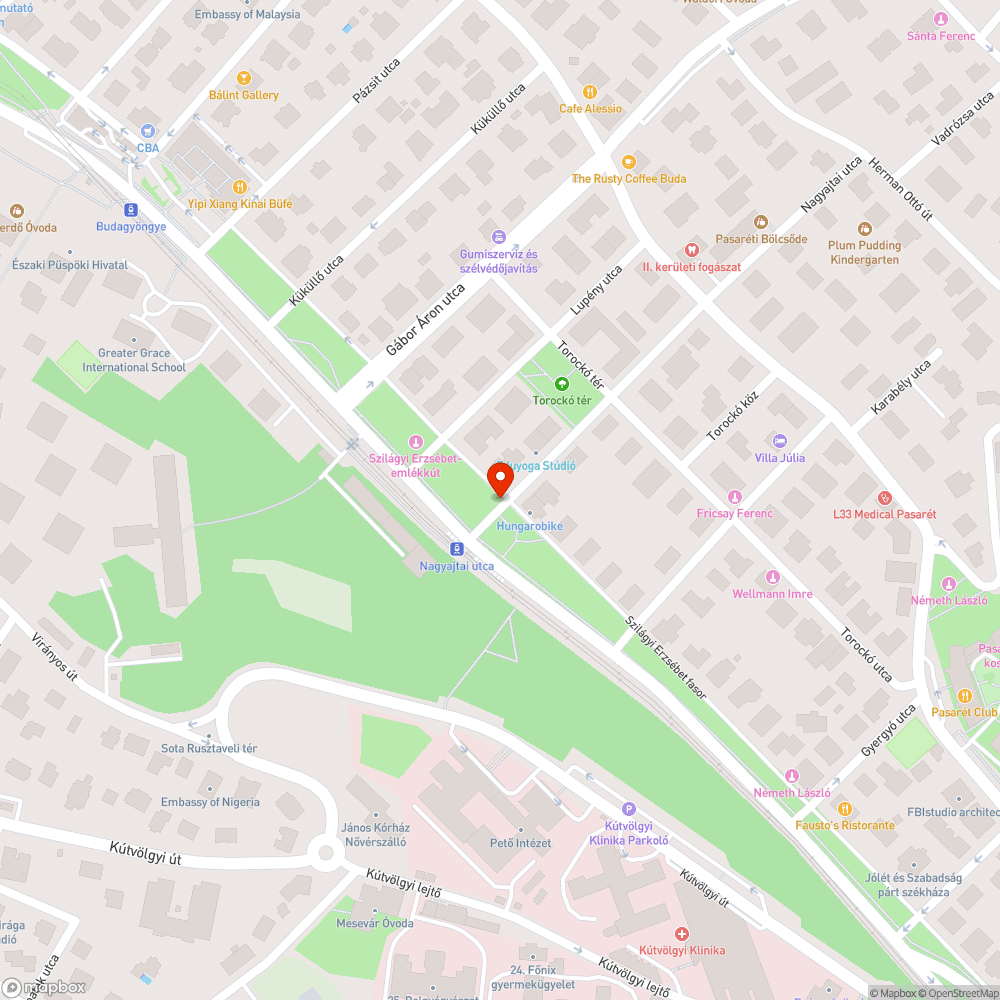 Rossz állapotban lévő fák bejelentés helye