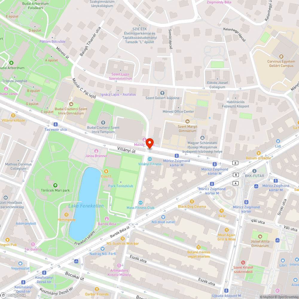 Lekopott zebra bejelentés helye