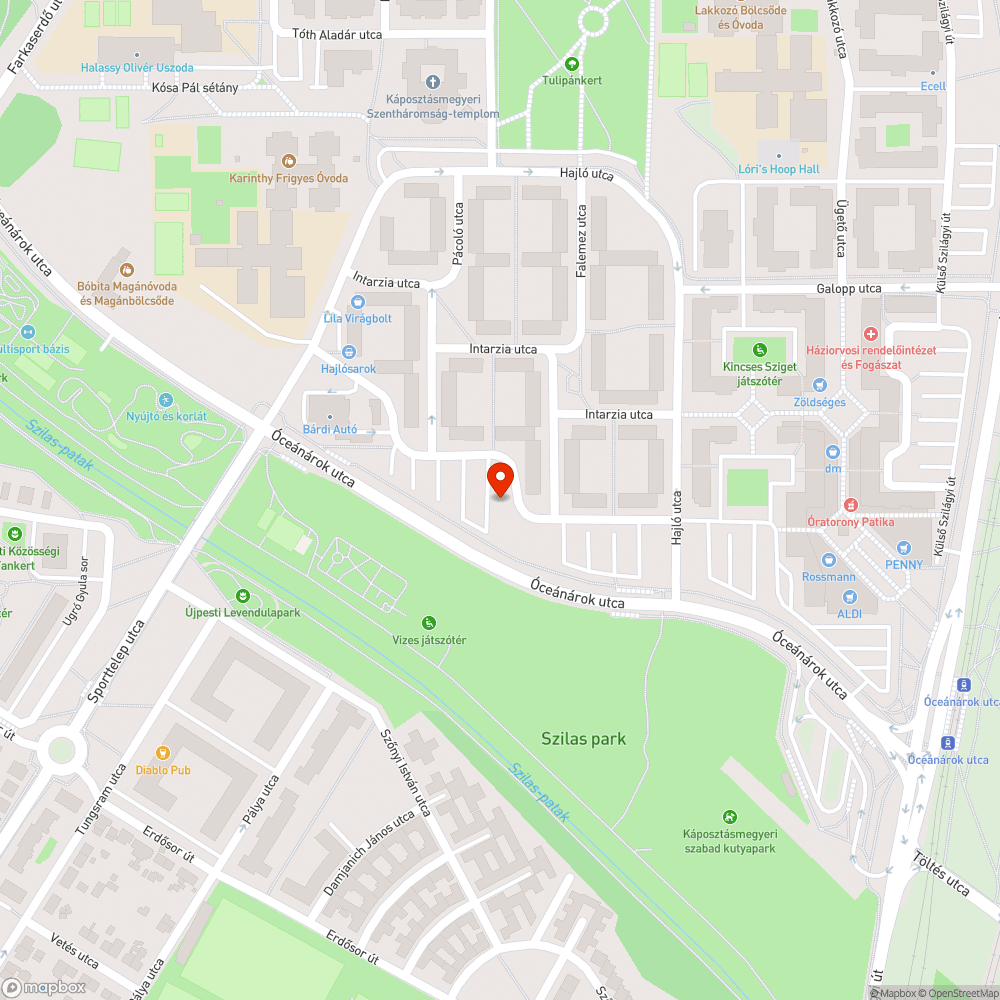 Elhagyott autó bejelentés helye